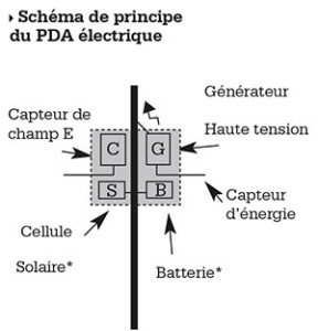 schema-pda-web